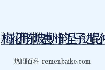 梅花用东坡惠州韵呈子进昆仲是什么意思的图片